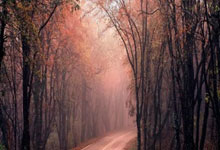 金年会体育官网入口:諾伊爾在韓媒采訪中表示:有金玟哉在場,我非常穩定和安心.