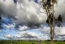 金年会体育官方网站:記者稱祖比門迪寧願再留一年皇家社會而不去利物浦,周四見分曉.