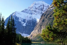 金年会体育官方网站：記者稱祖比門迪寧願再留一年皇家社會而不去利物浦，周四見分曉.