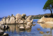 金年会体育：意甲第34輪拉齊奧1-2AC米蘭 伊布助托納利絕殺.